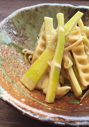 淡竹(ハチク)の簡単メンマ-レシピのメイン写真
