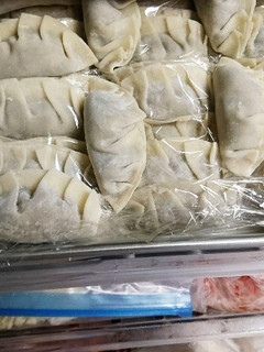 餃子の超省スペース冷凍保存方法-レシピのメイン写真