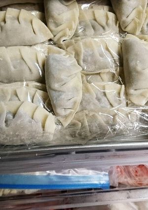 餃子の超省スペース冷凍保存方法-レシピのメイン写真