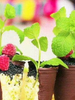 チョコの植木鉢レモンムース入り-レシピのメイン写真