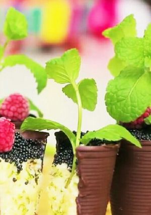 チョコの植木鉢レモンムース入り-レシピのメイン写真
