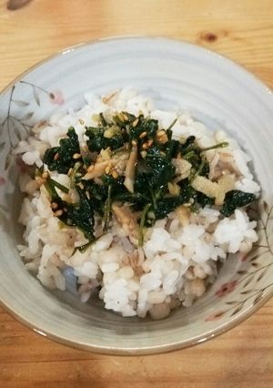 ご飯にバッチリ！ラディッシュの葉の佃煮-レシピのメイン写真