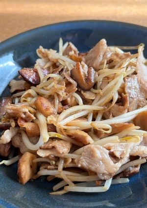 豚肉ともやしの炒め物-レシピのメイン写真