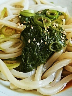 簡単ぶっかけめかぶうどん-レシピのメイン写真
