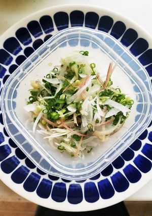 夏の薬味祭り♪-レシピのメイン写真