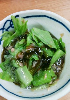 しゃきしゃきレタスのもずくシーチキン-レシピのメイン写真