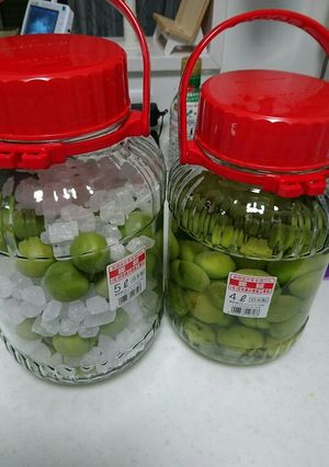 我が家の梅酒&梅ジュース-レシピのメイン写真