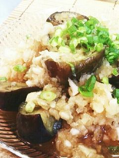キリッと冷して ☆茄子のみぞれ煮びたし☆-レシピのメイン写真
