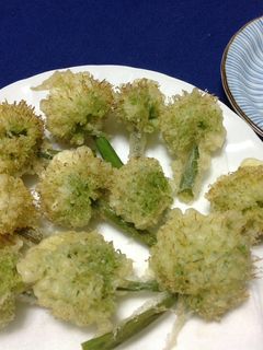 ネギ坊主の天ぷら-レシピのメイン写真