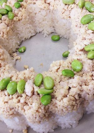 そぼろご飯-レシピのメイン写真