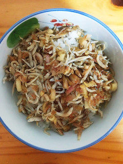 簡単!膵炎&肝機能に優しいしらす丼-レシピのメイン写真