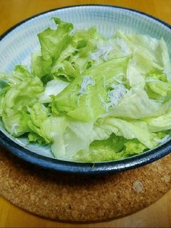 レタスとシラスの簡単サラダ(アマニ油)-レシピのメイン写真