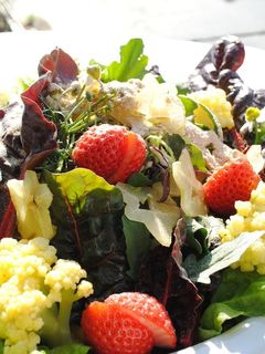 たいがいイケる!菊芋パウダー-レシピのメイン写真
