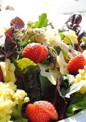 たいがいイケる！菊芋パウダー-レシピのメイン写真