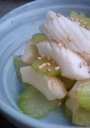 いかとセロリのごま酢和え-レシピのメイン写真