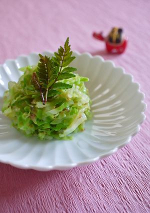 キャベツのおひたし-レシピのメイン写真