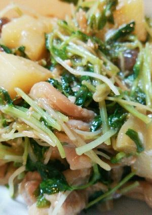 *豆苗と鶏肉のじゃが味噌バター炒め*-レシピのメイン写真
