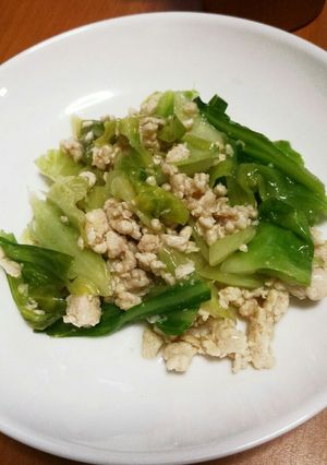 あっさり☆鶏挽肉とキャベツの塩炒め-レシピのメイン写真
