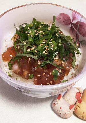 釣り名人秘伝の味★鯛の漬け丼♬-レシピのメイン写真