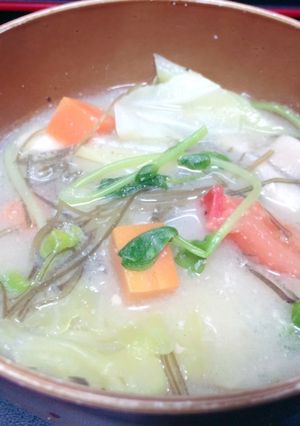 野菜たっぷり☆スパイシー豆乳味噌スープ-レシピのメイン写真