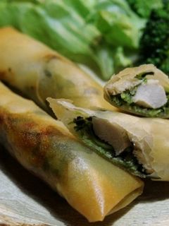 豆苗とササミの春巻き-レシピのメイン写真