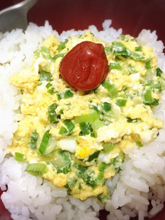 たまご丼-レシピのメイン写真
