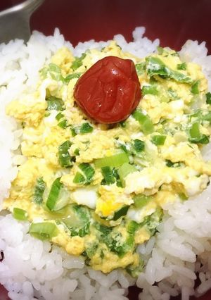 たまご丼-レシピのメイン写真