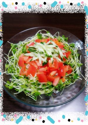 サラダそうめん-レシピのメイン写真