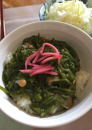めかぶとなめ茸丼^_^-レシピのメイン写真