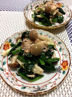 お弁当にも♪ほうれん草としめじのおひたし-レシピのメイン写真