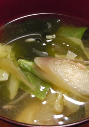 みょうがの味噌汁（キャベツ ワカメ）-レシピのメイン写真