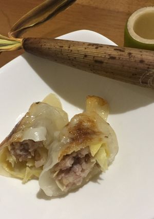 たけのこの薄皮（姫皮）餃子-レシピのメイン写真