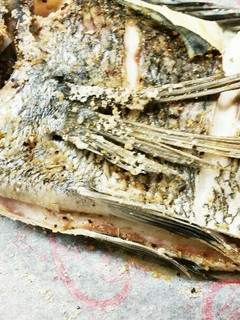 クロダイのハーブ焼き-レシピのメイン写真