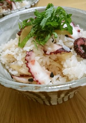 麺つゆで迷いなし♪簡単タコの炊き込みご飯-レシピのメイン写真