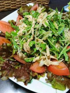 鶏むね肉と水菜の中華風サラダ-レシピのメイン写真