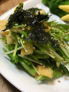水菜のサラダ-レシピのメイン写真