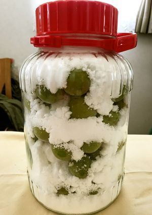 簡単☆梅ジュース-レシピのメイン写真