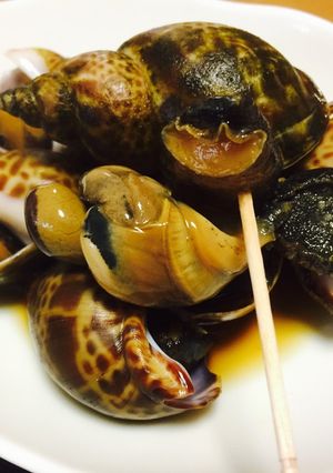 バイ貝の甘辛煮-レシピのメイン写真