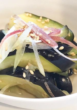茄子の即席漬け-レシピのメイン写真