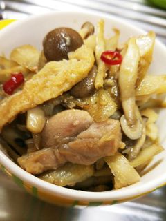 ごぼうと鶏肉の味噌炒め-レシピのメイン写真