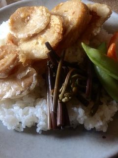 タケノコ天ぷらどんぶり-レシピのメイン写真