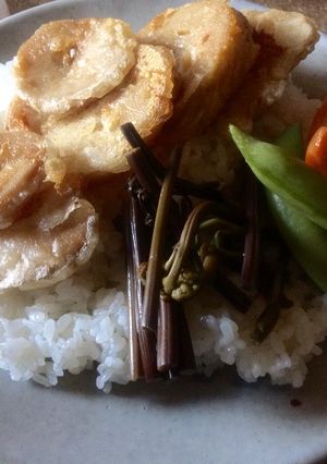 タケノコ天ぷらどんぶり-レシピのメイン写真