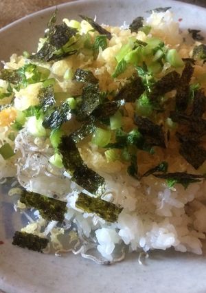 ちりめんじゃこどんぶり-レシピのメイン写真
