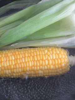 とうもろこし 美味しい茹で方-レシピのメイン写真