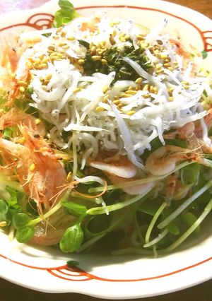 釜揚げ海老・しらす丼-レシピのメイン写真