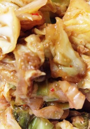 回鍋肉風炒め物-レシピのメイン写真