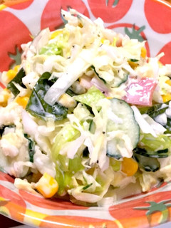いつもより沢山野菜が食べれるコールスロー-レシピのメイン写真
