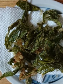 お茶の葉の天ぷら-レシピのメイン写真