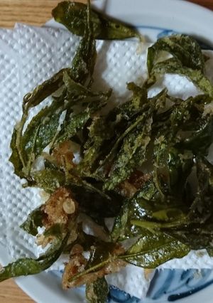 お茶の葉の天ぷら-レシピのメイン写真