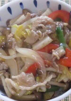 簡単♪カラフル中華丼♪-レシピのメイン写真